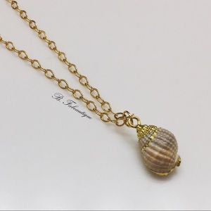 Seashell Necklace